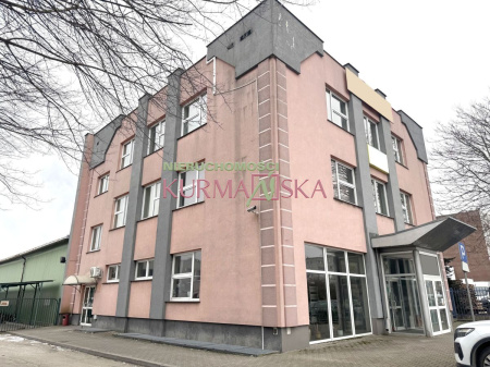 Budynek biurowo - usługowy oraz hala magazynowa